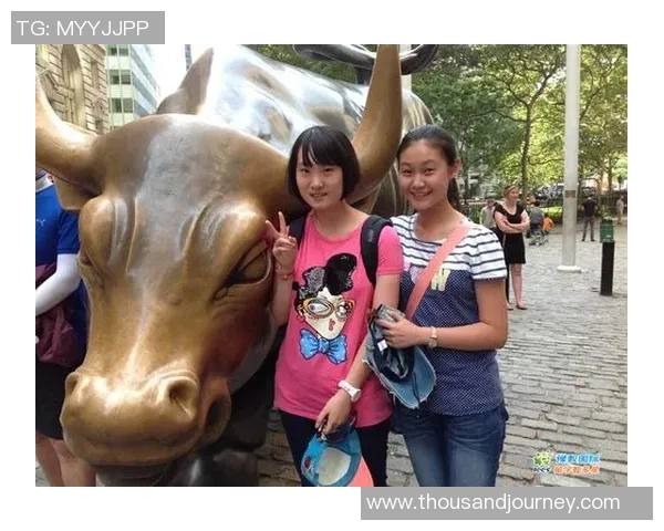 2020年1月7日山东对阵广东比赛黄牛票价分析与市场走势探讨